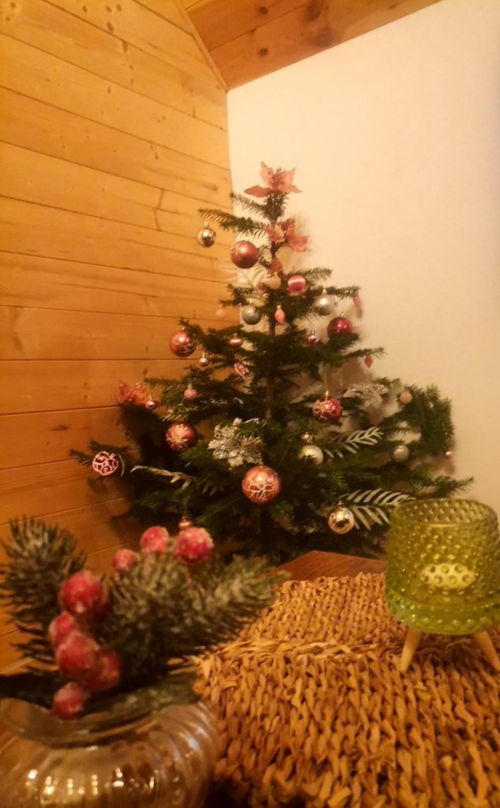 Mila Žabljak